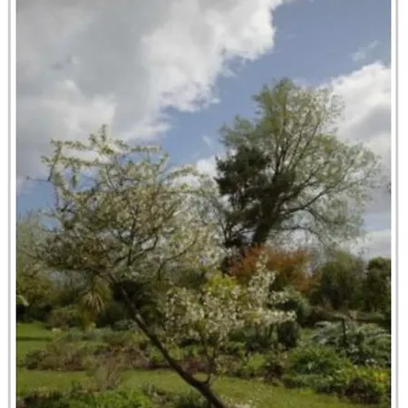 Thorpe Hall * 惠特比